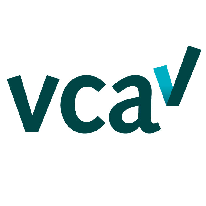 VCA Veiligheid voor Operationeel Leidinggevenden (VOL - VCA)