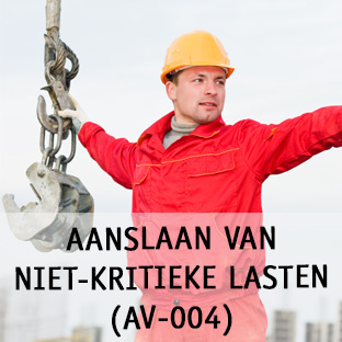 AANSLAAN VAN NIET KRITIEKE LASTEN