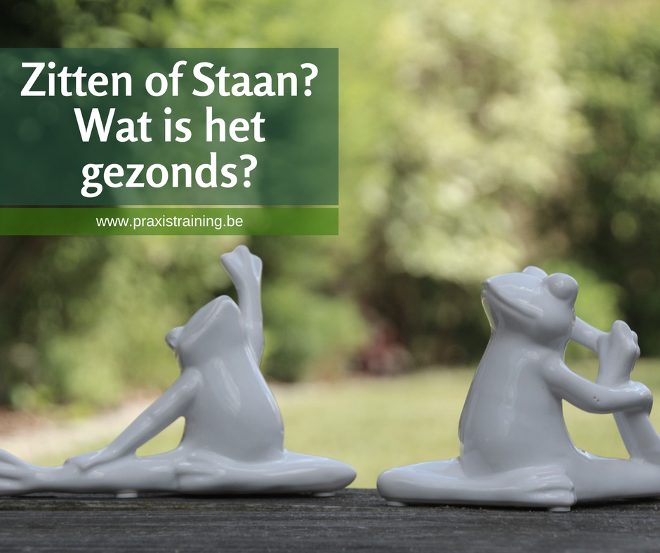 Praxis Training Zitten of Staan wat is het gezondst 