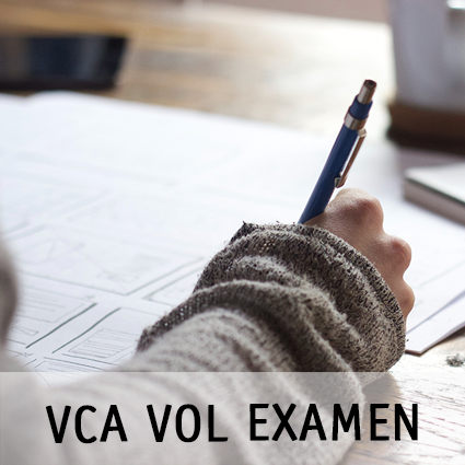 VCA VOL EXAMEN