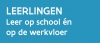 Wat is duaal leren?