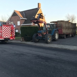 Vlasboer sterft onder heftruck